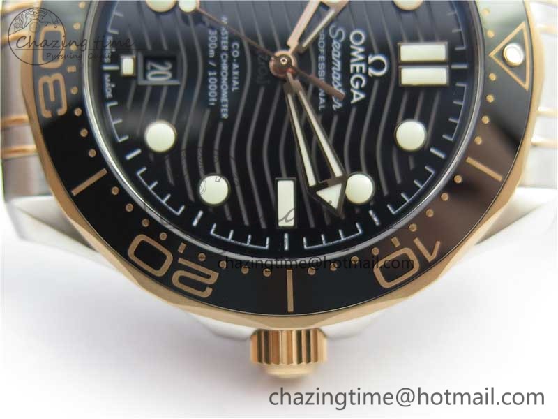 OMEGA2019082504-9.jpg